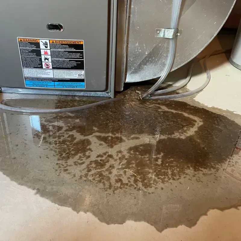 Appliance Leak Cleanup in White County, IL